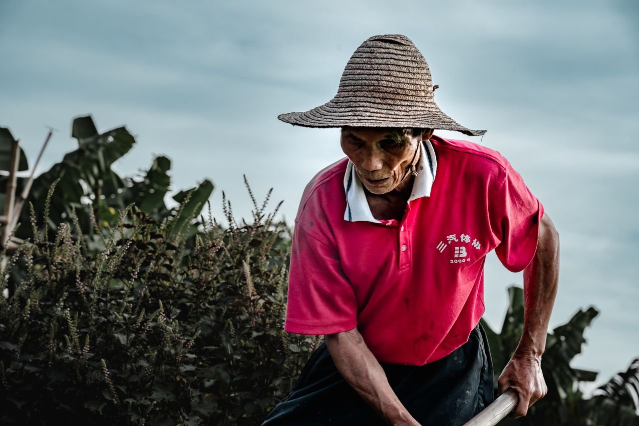 Elderly man in traditional attire working on a farm in Guangzhou, China, embracing rural life.